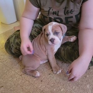 Meet your Posher, Christine